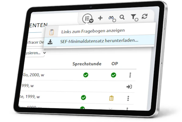 Automatischer SEF-Minimaldatensatz Excel
